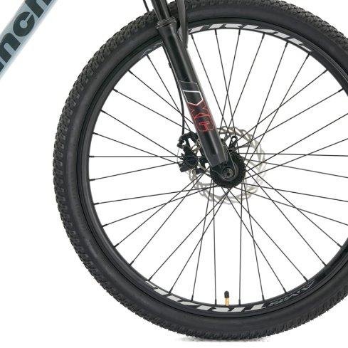 BIC BIANCHI ADVANTAGE 27,5 SX GRIS NARDO