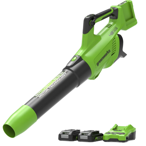 SOPLADOR BATERIA 48V KIT 2 BATERÍAS 1 CARGADOR