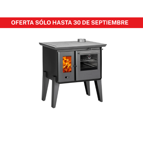 COCINA A LEÑA ALMA