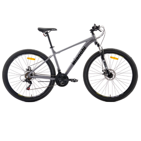 BICICLETA BIANCHI EVOLUTION 29 SX GRIS PLATA