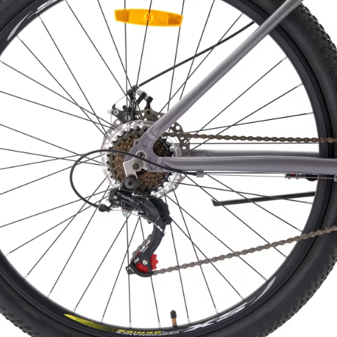 BIC BIANCHI GENESIS 29 SX PLATA