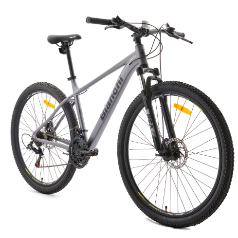 BICICLETA BIANCHI EVOLUTION 29 SX GRIS PLATA