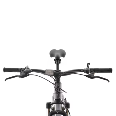 BIC BIANCHI GENESIS 29 SX PLATA