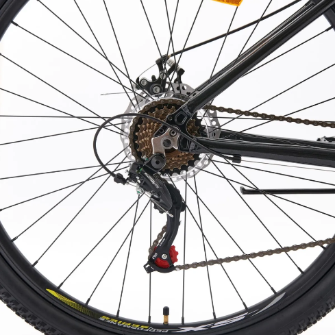BIC BIANCHI EVOLUTION 29 SX NEGRO