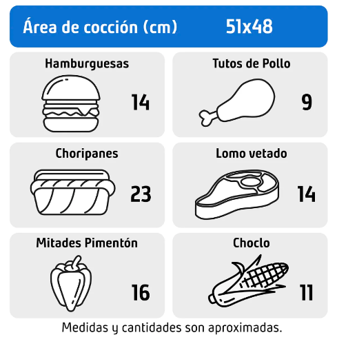 PARRILLA A CARBÓN 62X104 NEGRA