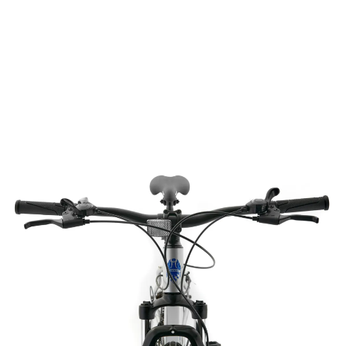 BIC BIANCHI REKORD 29 SX PLATA
