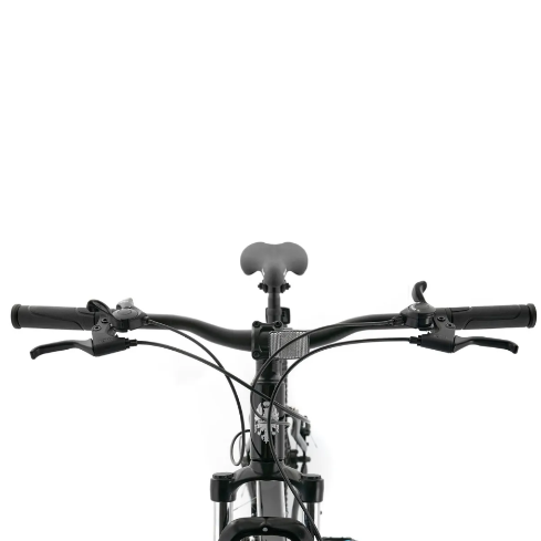 BIC BIANCHI REKORD 29 SX NEGRO