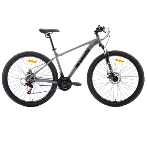 BIC BIANCHI GENESIS 29 SX PLATA