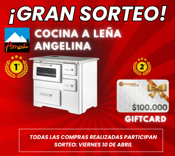 Paga tu cuenta Online