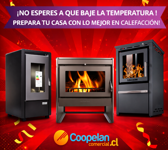 Paga tu cuenta Online