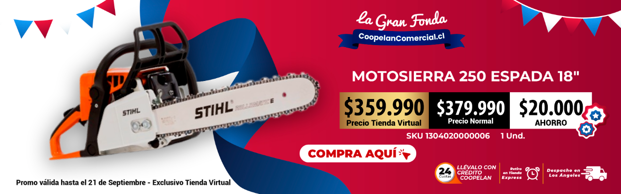 MOTOSIERRA STIHL 250 C/ESP 18