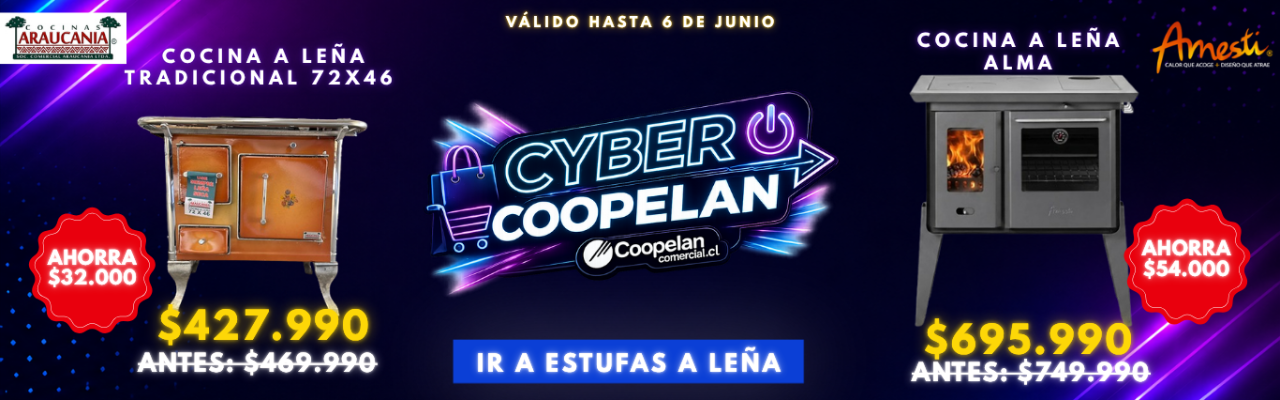 COCINAS A LEÑA